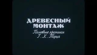 ДРЕВЕСНЫЙ МОНТАЖ / ПОЛЕВЫЕ ХРОНИКИ Г. Х. ТУЦА