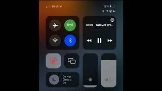 Krizz - Силует(1)