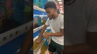 George Puts His Hand In A Fish Tank 😂😂
