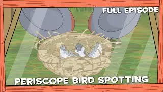 Darwin and Newts | Periscope Bird Spotting