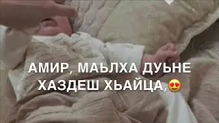 Дала декъал войла хьо Амир🤍