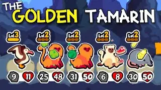The Strongest Danger Pack Build! (Super Auto Pets)