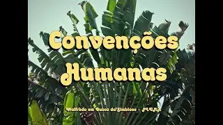Walfredo em Busca Simbiose feat. Pluma - Convenções Humanas