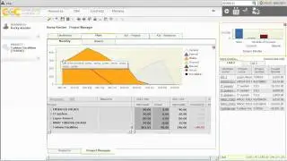 Project Manager Basics