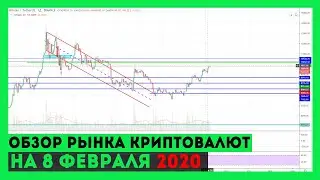 Обзор и прогноз рынка криптовалют на 8.02.2020