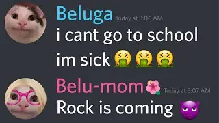 When Beluga Has an Exam...