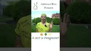 Туя шаровидная обрезка кронирование