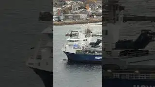 Cargo Ship Rubin. #shorts #cargoship #mowi #hd #vessel