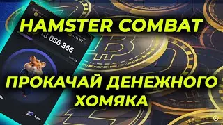 Hamster Kombat airdrop тапалка лучше Notcoin Партнёрство с BingX, бусты, пассивный доход tap to earn