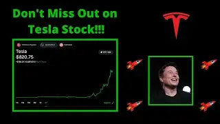 Should you Buy Tesla Stock now?