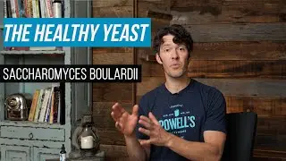 Saccharomyces boulardii: the probiotic yeast that supports gut health