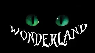 Maturitní video - Wonderland ČAG oktáva 2015/2016