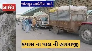 કપાસ ના પાલ ની હારરાજી લાઈવ જેતપુર માર્કેટીંગ યાર્ડ તા 24.06.2023 | Live kapas in harraji Jetpur Yad