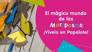 Mariposas al Vuelo en PAPALOTE