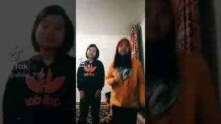 Тик ток Албан