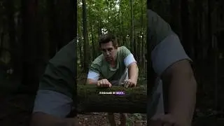 ТАЙНЫЙ ЛЕС 3. ❌ Лучший комментарий закреплю