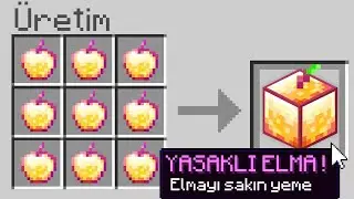 Minecraft ama ÖZEL BLOKLAR VAR