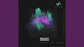 Enter the Void
