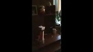Музыкальная катушка  Tesla coil