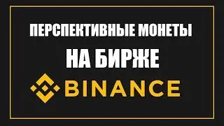 Перспективные монеты на бирже binance