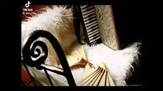 Muzic