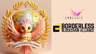 Want to build and grow your business? Introducing Borderless Blockchain Alliance
