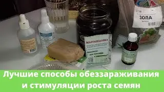 7 способов подготовки семян к посеву: лучшие способы обеззараживания и стимуляции роста