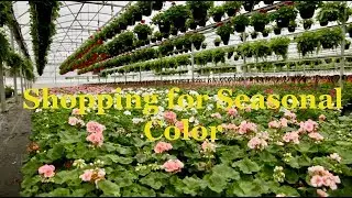 Flower Choices for Festival of Flowers - Catherine Arensberg's Plant Walk With Oliver Washington