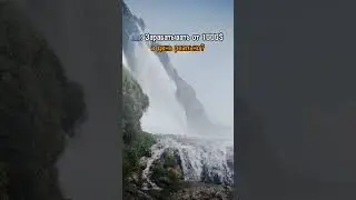 ну что погнали?🤑🤤