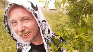Прогулка у озера