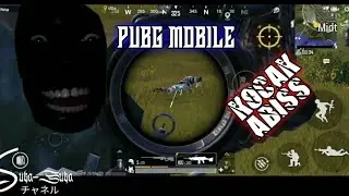 PUBG MOBILE [SEASON 17.EXE]