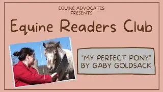 Equine Readers Club #9: My Perfect Pony by Gaby Goldsack