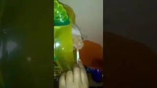 Crazy Dumplin