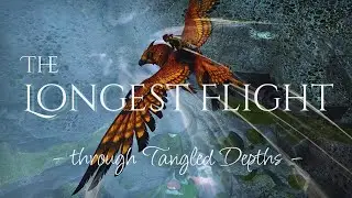𝗧𝗵𝗲 𝗟𝗼𝗻𝗴𝗲𝘀𝘁 𝗙𝗹𝗶𝗴𝗵𝘁 // Griffon Flying Music Video