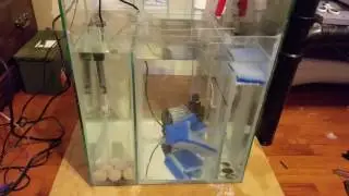 Custom Biocube Sump Running (Pt 2)