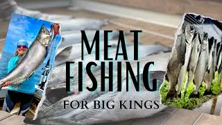 Meat Rig Fishing-Secrets, Tips and Tactics-Fundamental Fishing