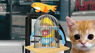 BANANA CAT 🍌🐱 BABY BAD LUCK 😿 VIDEOS 65 ( 2 MINUTES )