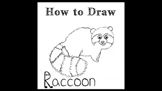 How to Draw Simple raccoon