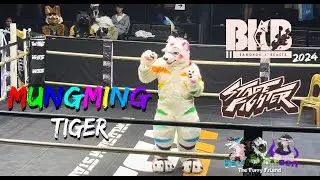 MungMing Tiger / Shake It - Sistar / BKB Stage Fighter 2024