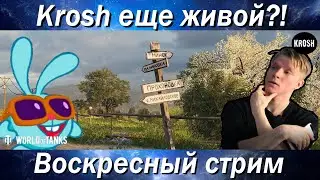 Krosh возвращается в танки?!  -  Воскресный стрим