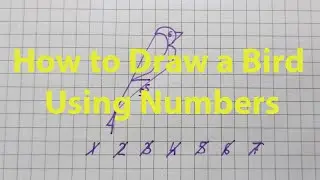 How to Draw a Bird Using Numbers in 7 Steps