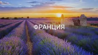КИВИ ТАКСИ