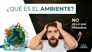¿Qué es el ambiente? Una mirada más allá...
