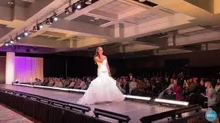 Wedding Show