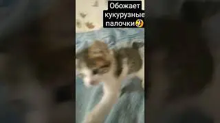 мы редко даем, ну если любит иногда можно😄
