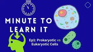 Minute to Learn It | Ep 1: Prokaryotic vs Eukaryotic Cells
