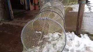 Рыбный вентерь (ятерь) для ловли карпа и щуки.