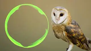 one Time ( No Copyright Music)