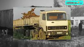мАз-6422, легендарный 