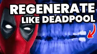 Just like Deadpool, Humans Are Now Able to Regrow Body Parts
